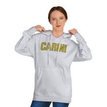 Load image into Gallery viewer, Carini Gold Black Unisex Hooded Sweatshirt
