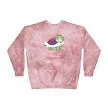 Load image into Gallery viewer, Turtle in the Clouds Dyed Crewneck Sweatshirt