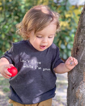 Load image into Gallery viewer, Chalkdust Torture Toddler Tee, Can't I Live While I'm Young Toddler T