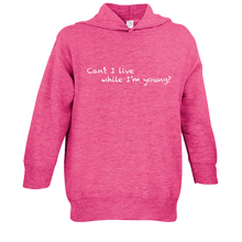 Load image into Gallery viewer, Chalkdust Toddler Hoodie
