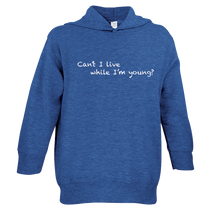 Load image into Gallery viewer, Chalkdust Toddler Hoodie