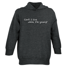 Load image into Gallery viewer, Chalkdust Toddler Hoodie