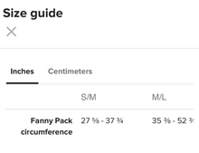 Load image into Gallery viewer, Fishman Donut Fanny Pack