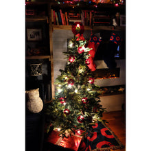 Load image into Gallery viewer, Phishmas Donut Stocking