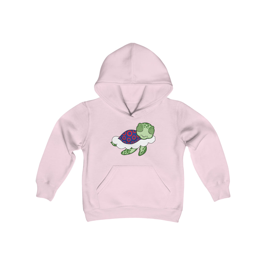Turtle in the Clouds Youth Sweatshirt