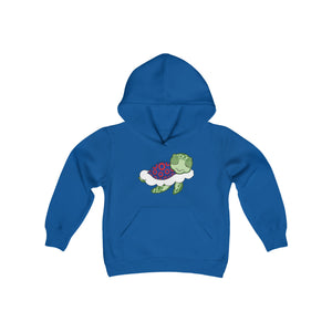 Turtle in the Clouds Youth Sweatshirt