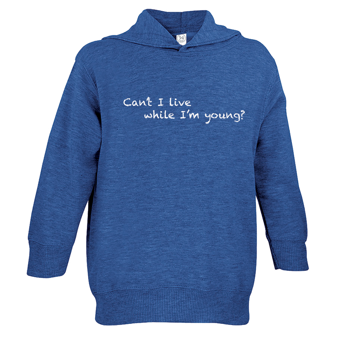 Chalkdust Torture Toddler Hoodie
