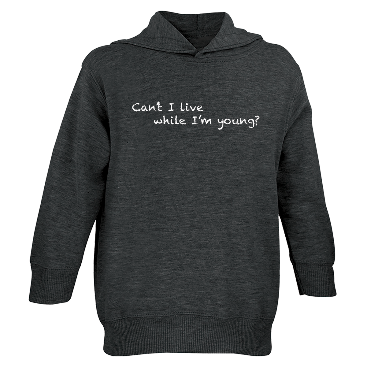 Chalkdust Torture Toddler Hoodie