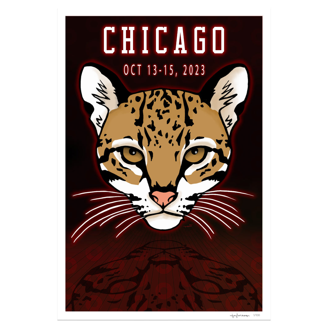 Phish Chicago 2023 Fall Tour Poster