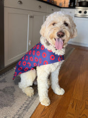 Donut Canvas Dog Coat