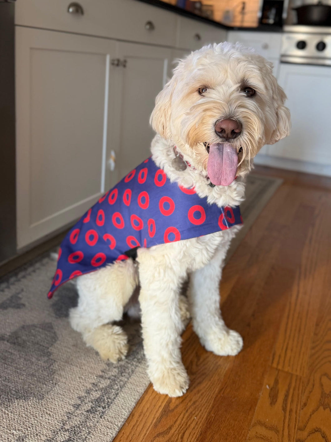 Phish Donut Canvas Dog Coat