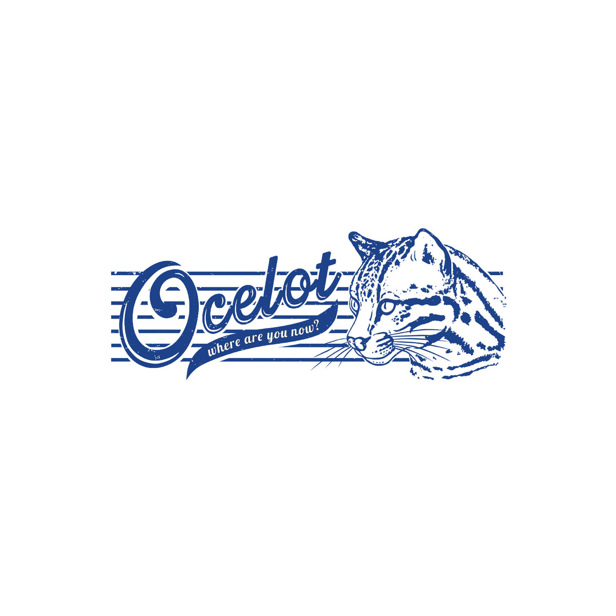 Ocelot