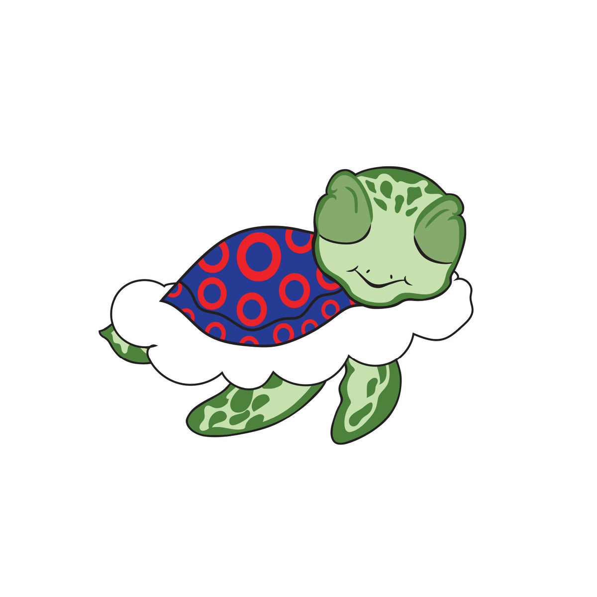 Turtle in the Clouds