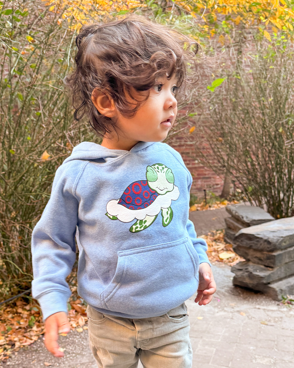 Turtle in the Clouds Toddler Hoodie