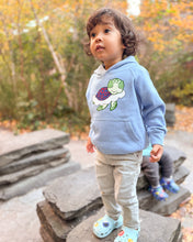 Load image into Gallery viewer, Turtle in the Clouds Toddler Hoodie
