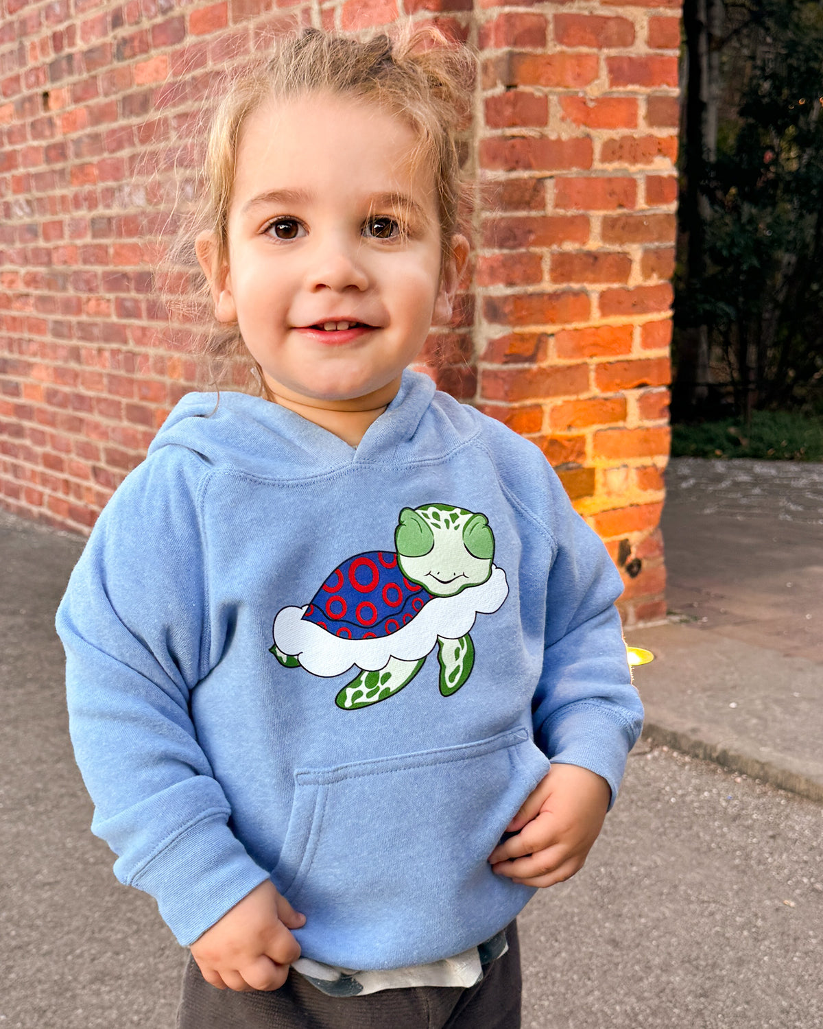 Turtle in the Clouds Toddler Hoodie