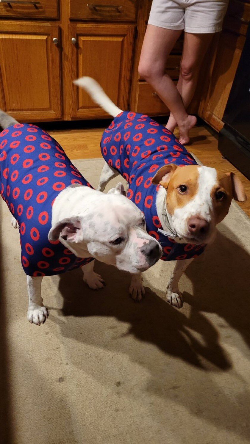 Donut Canvas Dog Coat