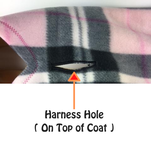 Donut Canvas Dog Coat
