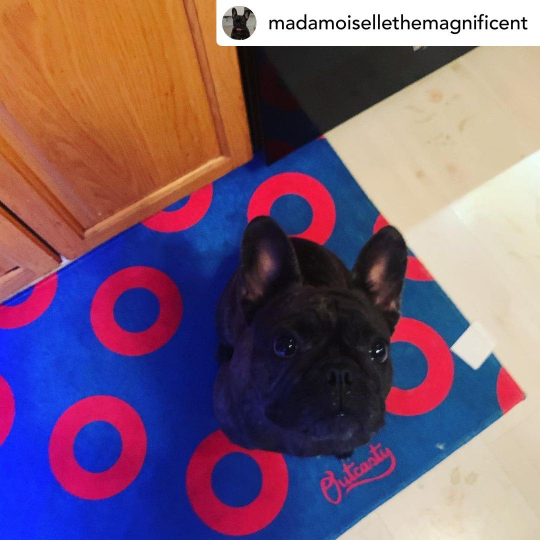 Donut Area Rugs